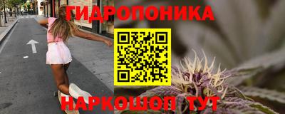 прущие крисы Гагарин