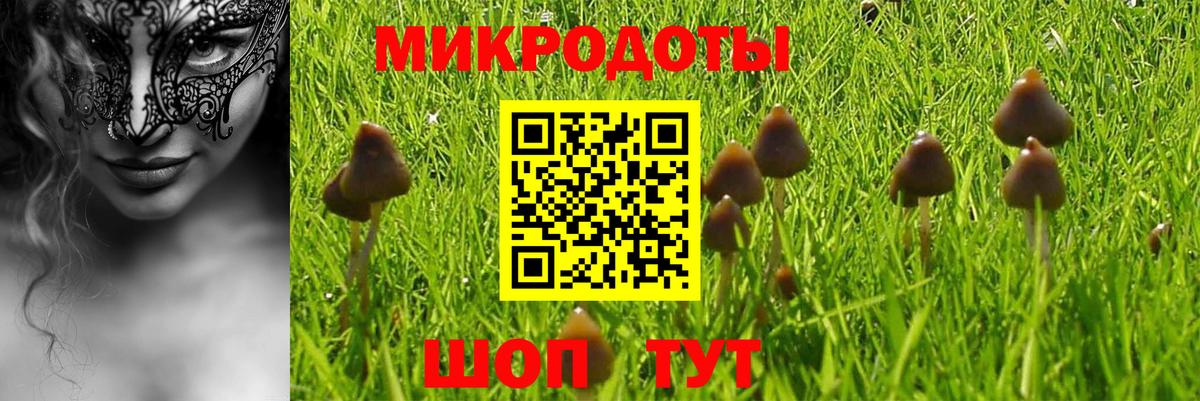 Псилоцибиновые грибы GOLDEN TEACHER  Вход с VPN  Морозовск  Псилоцибиновые грибы ЛСД 